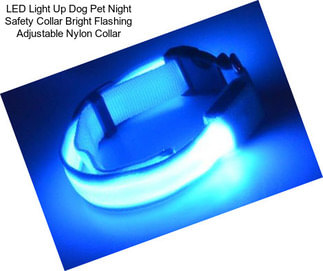 LED Light Up Dog Pet Night Safety Collar Bright Flashing Adjustable Nylon Collar