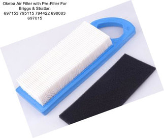 Okeba Air Filter with Pre-Filter For Briggs & Stratton 697153 795115 794422 698083 697015