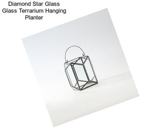 Diamond Star Glass Glass Terrarium Hanging Planter