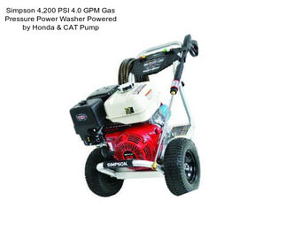 Simpson 4,200 PSI 4.0 GPM Gas Pressure Power Washer Powered by Honda & CAT Pump