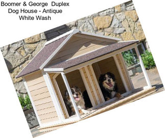 Boomer & George  Duplex Dog House - Antique White Wash