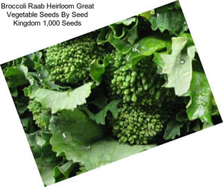Broccoli Raab Heirloom Great Vegetable Seeds By Seed Kingdom 1,000 Seeds