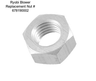 Ryobi Blower Replacement Nut # 678190002