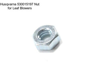 Husqvarna 530015197 Nut for Leaf Blowers