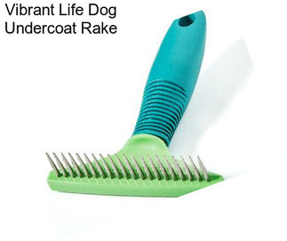 Vibrant Life Dog Undercoat Rake