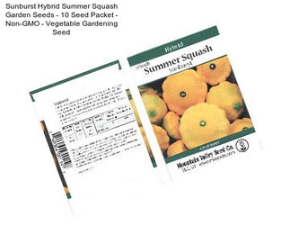 Sunburst Hybrid Summer Squash Garden Seeds - 10 Seed Packet - Non-GMO - Vegetable Gardening Seed