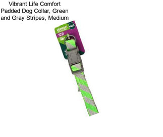 Vibrant Life Comfort Padded Dog Collar, Green and Gray Stripes, Medium