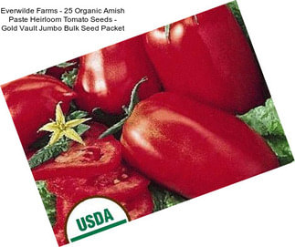 Everwilde Farms - 25 Organic Amish Paste Heirloom Tomato Seeds - Gold Vault Jumbo Bulk Seed Packet