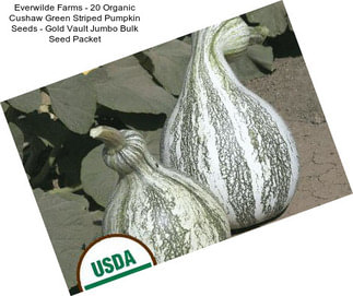 Everwilde Farms - 20 Organic Cushaw Green Striped Pumpkin Seeds - Gold Vault Jumbo Bulk Seed Packet