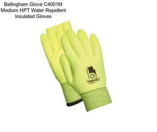 Bellingham Glove C4001M Medium HPT Water Repellent Insulated Gloves