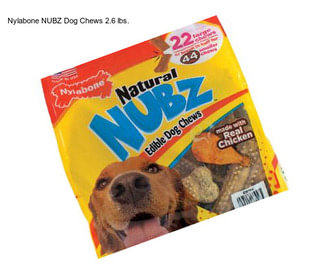 Nylabone NUBZ Dog Chews 2.6 lbs.