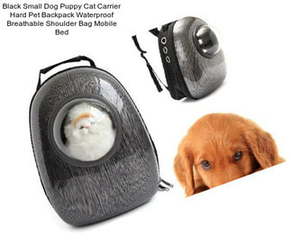 Black Small Dog Puppy Cat Carrier Hard Pet Backpack Waterproof Breathable Shoulder Bag Mobile Bed