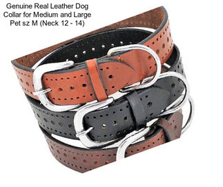 Genuine Real Leather Dog Collar for Medium and Large Pet sz M (Neck 12\