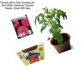 Tomato All-In-One Growing Kit, Non GMO, Heirloom Tomato Seeds, Great Gift Idea