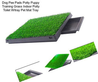 Dog Pee Pads Potty Puppy Training Grass Indoor Potty Toilet W/tray Pet Mat Tray