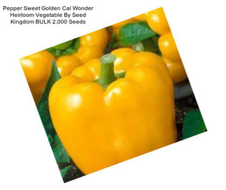 Pepper Sweet Golden Cal Wonder Heirloom Vegetable By Seed Kingdom BULK 2,000 Seeds