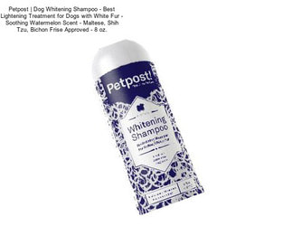 Petpost | Dog Whitening Shampoo - Best Lightening Treatment for Dogs with White Fur - Soothing Watermelon Scent - Maltese, Shih Tzu, Bichon Frise Approved - 8 oz.