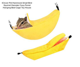 IClover Pet Hammock Small Bird Squirrel Hamster Cavy Ferret Hanging Bed Cage Toy House