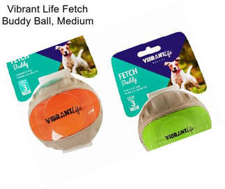 Vibrant Life Fetch Buddy Ball, Medium