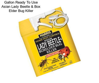 Gallon Ready To Use Asian Lady Beetle & Box Elder Bug Killer