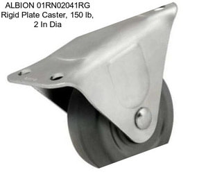 ALBION 01RN02041RG Rigid Plate Caster, 150 lb, 2 In Dia