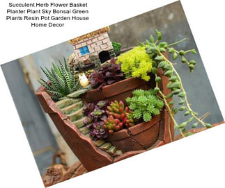 Succulent Herb Flower Basket Planter Plant Sky Bonsai Green Plants Resin Pot Garden House Home Decor