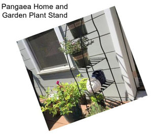 Pangaea Home and Garden Plant Stand