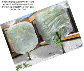 Strong Camel Warm Worth Plant Cover Tree/Shrub Cover Plant Protecting &Frost Protection Bag (96” H x 84” Dia)
