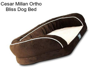 Cesar Millan Ortho Bliss Dog Bed