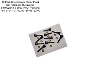 10 Pack Snowblower Shear Pin & Nut Replaces Husqvarna 531002513 & 506714001 Yamaha 7Y6-51647-01-00, 90185-06122-00