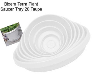 Bloem Terra Plant Saucer Tray 20\