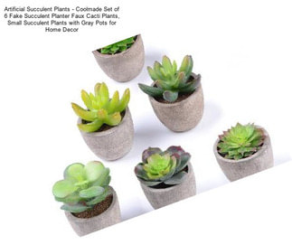 Artificial Succulent Plants - Coolmade Set of 6 Fake Succulent Planter Faux Cacti Plants, Small Succulent Plants with Gray Pots for Home Decor