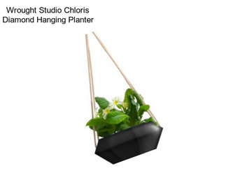 Wrought Studio Chloris Diamond Hanging Planter