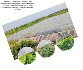 Agfabric 3.1Mil Plastic Covering Clear Polyethylene Greenhouse Film UV Resistant for Grow Tunnel and Garden Hoop, Plant Cover&Frost Blanket for Season Extension, 6.5x20ft