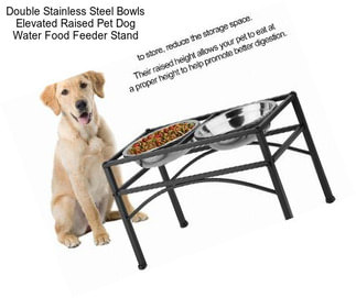Double Stainless Steel Bowls Elevated Raised Pet Dog Water Food Feeder Stand