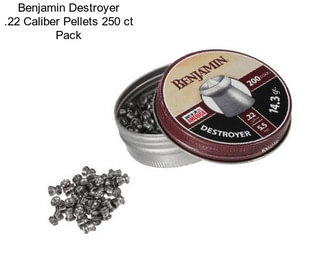 Benjamin Destroyer .22 Caliber Pellets 250 ct Pack