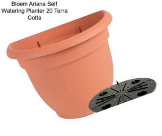 Bloem Ariana Self Watering Planter 20\