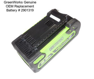 GreenWorks Genuine OEM Replacement Battery # 2901319