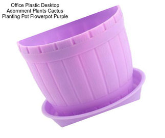 Office Plastic Desktop Adornment Plants Cactus Planting Pot Flowerpot Purple