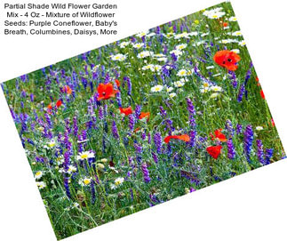 Partial Shade Wild Flower Garden Mix - 4 Oz - Mixture of Wildflower Seeds: Purple Coneflower, Baby\'s Breath, Columbines, Daisys, More