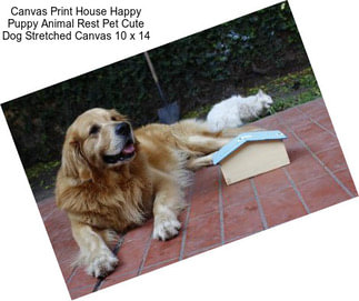 Canvas Print House Happy Puppy Animal Rest Pet Cute Dog Stretched Canvas 10 x 14