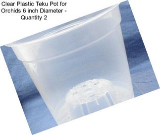 Clear Plastic Teku Pot for Orchids 6 inch Diameter - Quantity 2