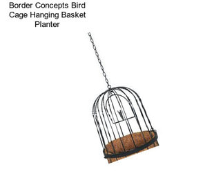 Border Concepts Bird Cage Hanging Basket Planter