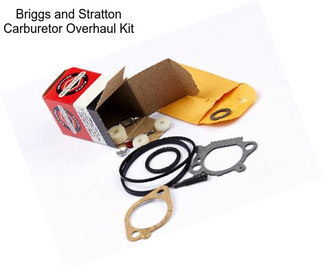 Briggs and Stratton Carburetor Overhaul Kit