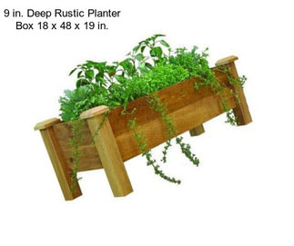 9 in. Deep Rustic Planter Box 18 x 48 x 19 in.