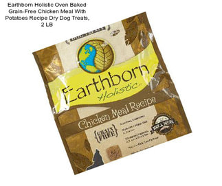 Earthborn Holistic Oven Baked Grain-Free Chicken Meal With Potatoes Recipe Dry Dog Treats, 2 LB