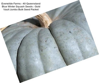 Everwilde Farms - 40 Queensland Blue Winter Squash Seeds - Gold Vault Jumbo Bulk Seed Packet