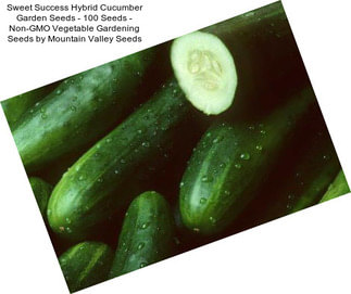 Sweet Success Hybrid Cucumber Garden Seeds - 100 Seeds - Non-GMO Vegetable Gardening Seeds by Mountain Valley Seeds