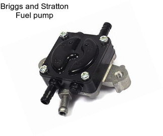 Briggs and Stratton Fuel pump