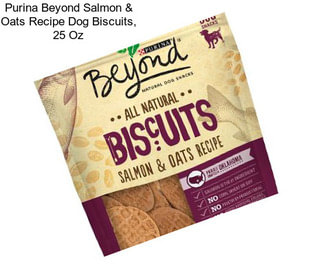 Purina Beyond Salmon & Oats Recipe Dog Biscuits, 25 Oz